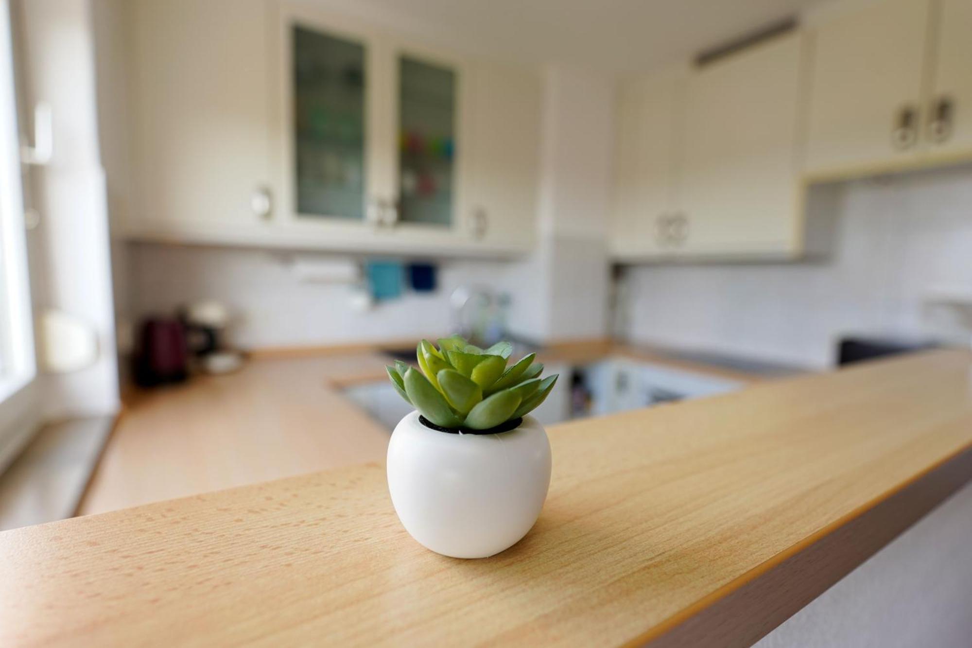 Tolle Wohnung Mit Panoramablick Weinheim Eksteriør bilde